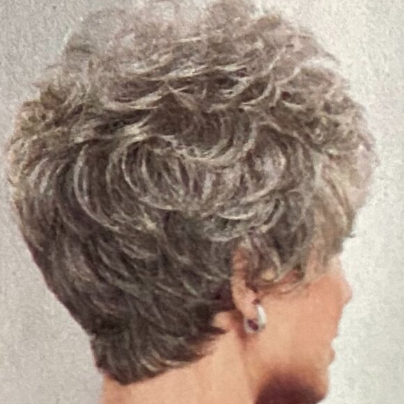 THE COLOR IN THE PICTUREE IS NOT THE COLOR OF THE WIG SEE COLOR CELEBRITY WIG - Picture 2 of 3